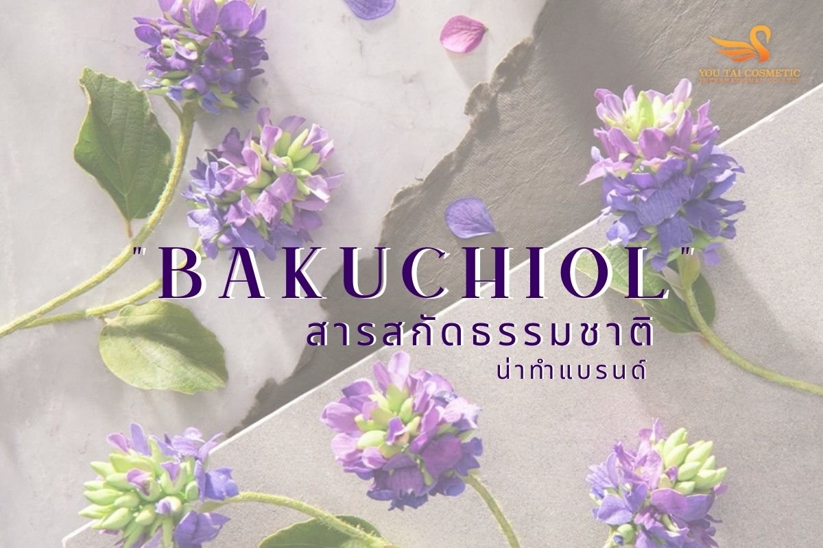 บากูชิลสารสกัดมาแรงจากโรงงานผลิตแผ่นมาร์คหน้า