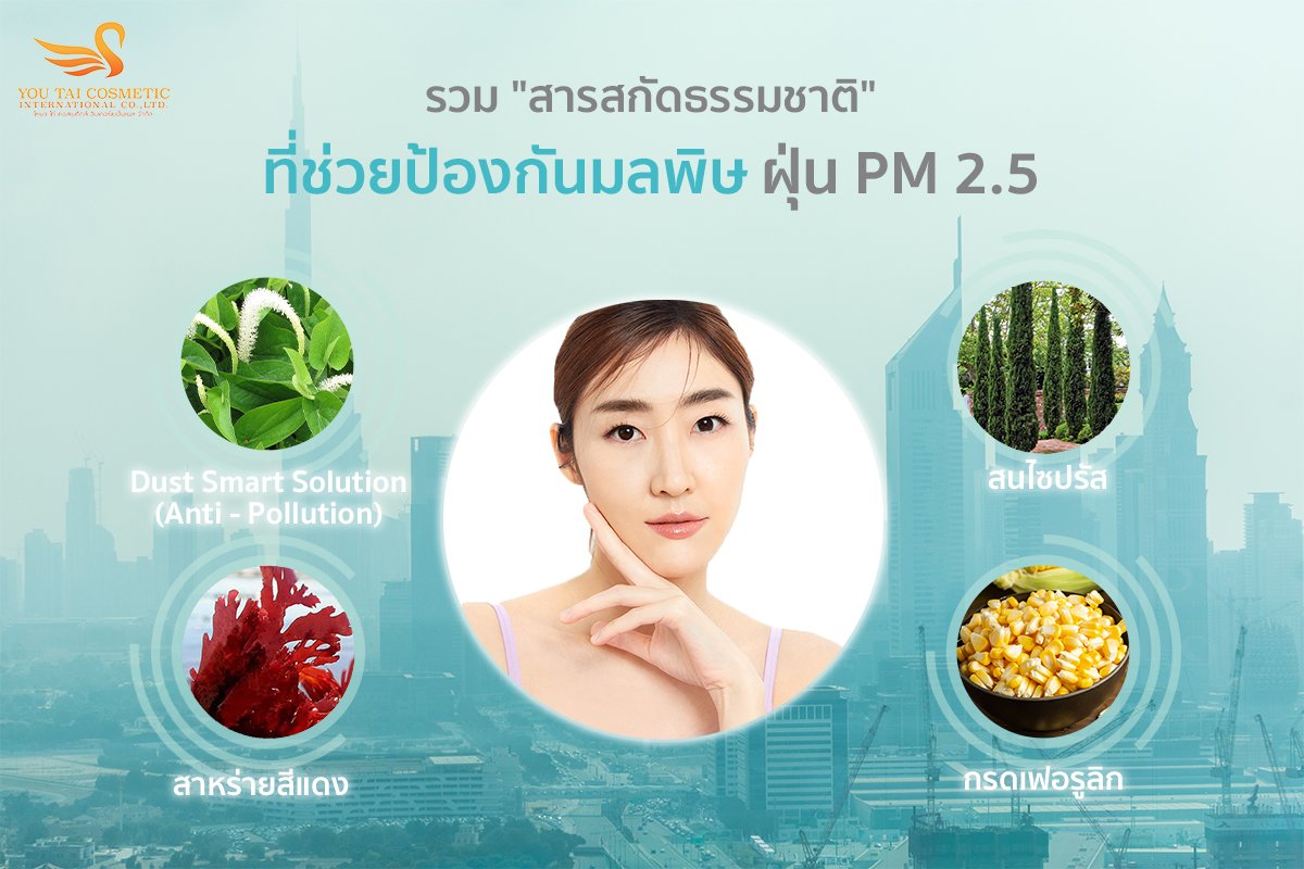 โรงงานผลิตแผ่นมาร์คหน้าจากสารสกัดธรรมชาติ